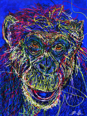 Chimpanzee – expressive animal portrait in line art by Quebec artist Bernard Ouellette