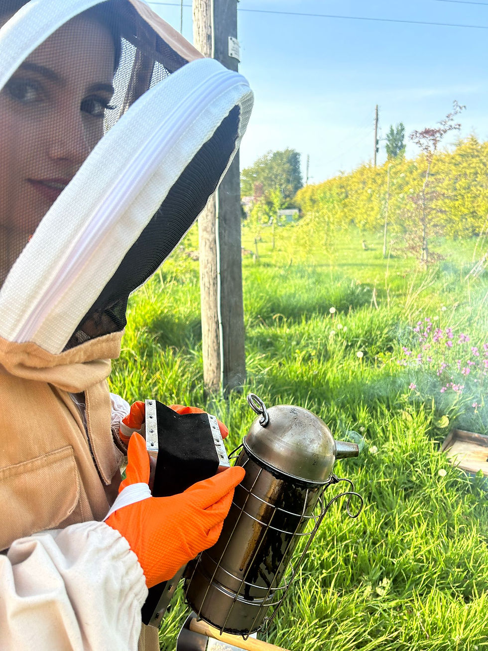 Miniatura: Afternoon Bee Experience Session (6-15 years)