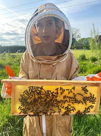 Teenager holding frame of bees