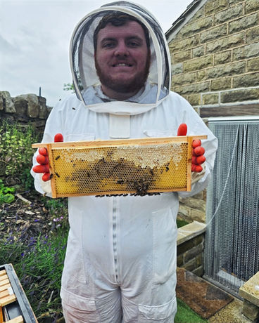 DunnyBees Experience