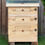 Thumbnail: Buzz Box 