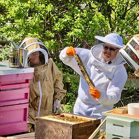 Previous bee experience guests