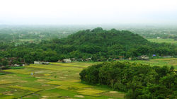 DSC08140 (1)