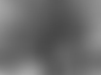 THE CONVERGENCE BETWEEN THE SUSTAINABLE FINANCE DISCLOSURE REGULATION (SFDR) AND REPORTING STANDARDS