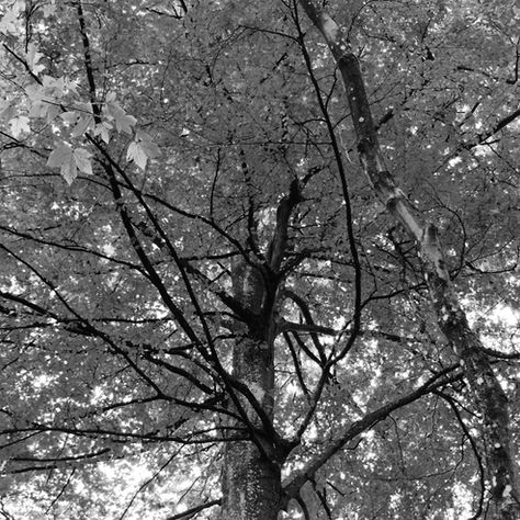 THE CONVERGENCE BETWEEN THE SUSTAINABLE FINANCE DISCLOSURE REGULATION (SFDR) AND REPORTING STANDARDS