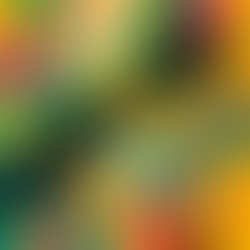 When the Stress Test Arrives Early