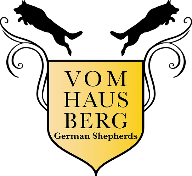 vom haus berg german shepherds