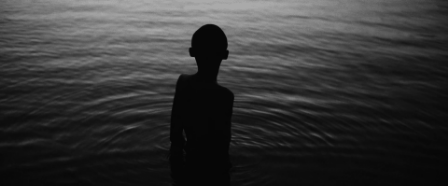 animation (2).gif