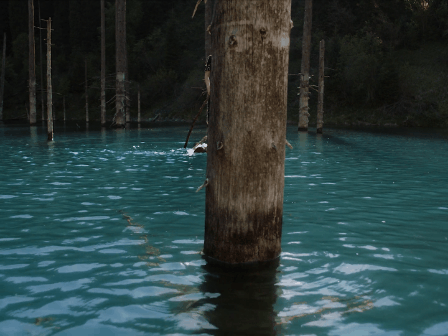 animation (30).gif