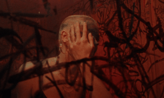 animation (7).gif