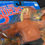 Thumbnail: LJN Wrestlers - Greg "The Hammer" Valentine