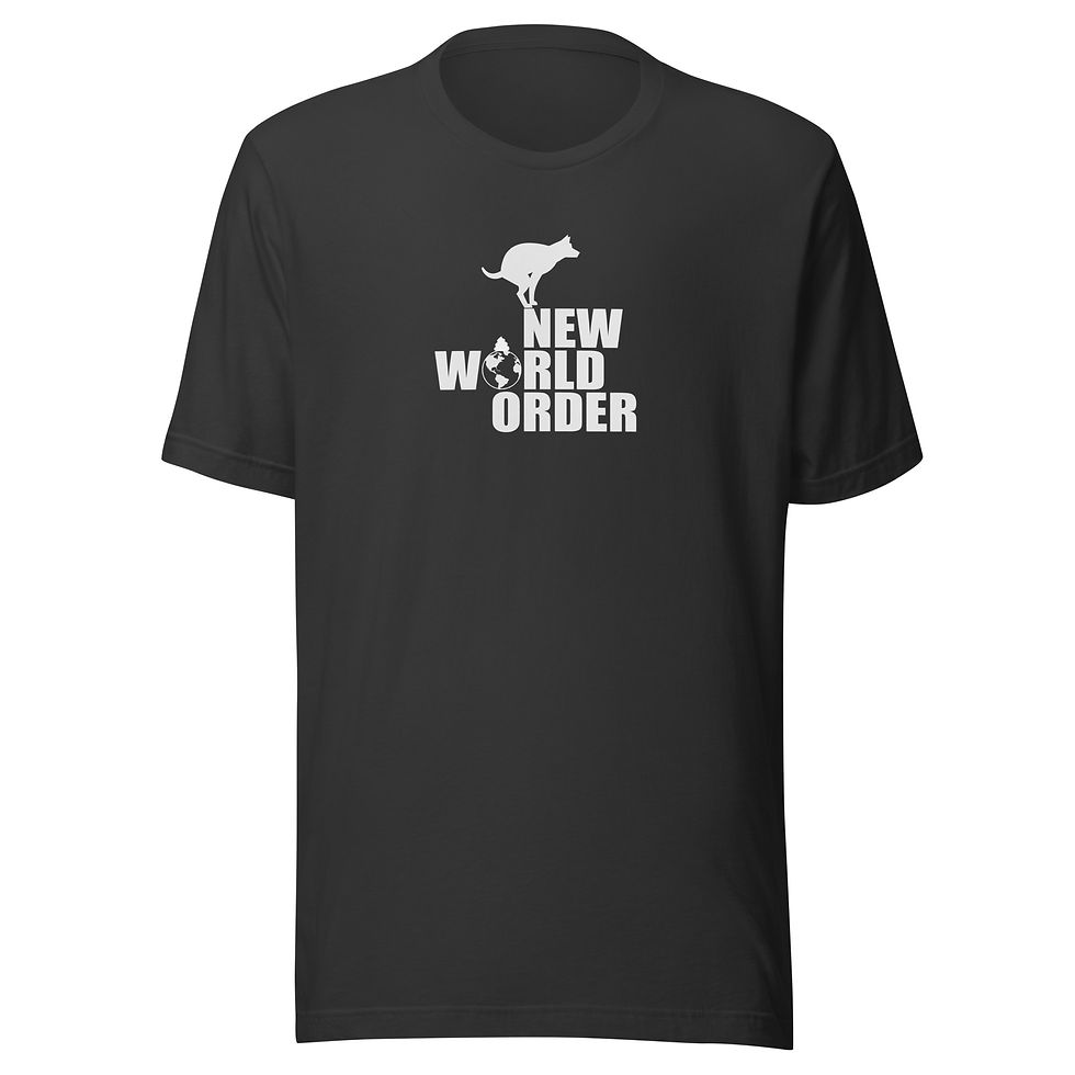 Thumbnail: New world order - Unisex t-shirt