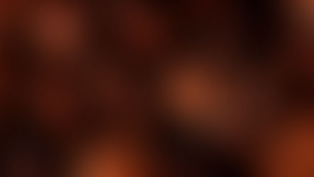 Quer comer os melhores chocolates do mundo? Temos a solução!