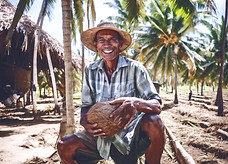 Local farmers in a coconut farm