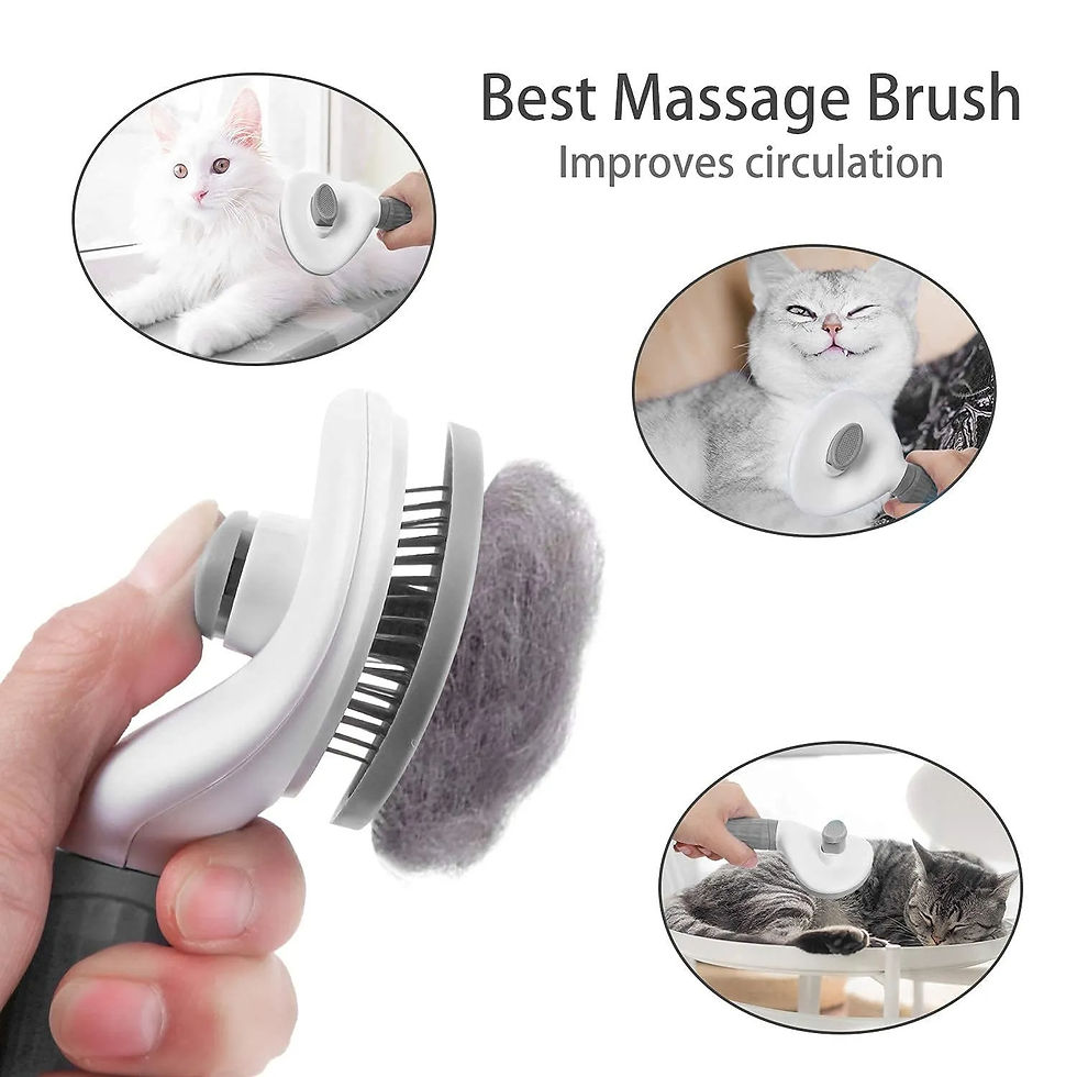 Thumbnail: Pet Dog Brush Cat Comb Self Cleaning Pet Hair Remover Brush For Dogs Cats Groomi