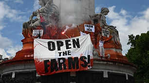 actu_Boucherie Abolition, 8 juin 2019.jpeg