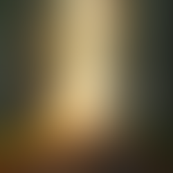 A winding forest path symbolizing the journey of ascension