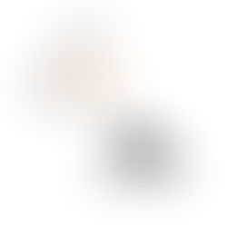 CisLunar Industries and Stout Street Capital Logos