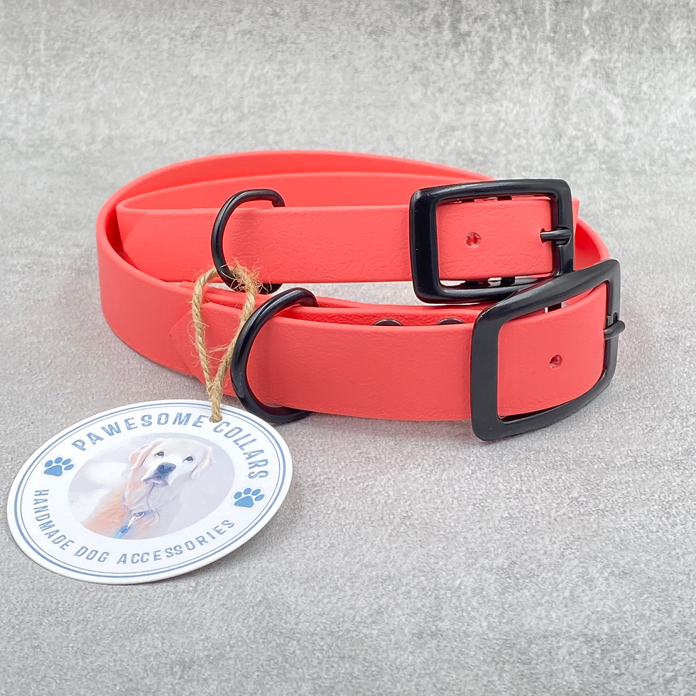 Miniatyrbilde: Pawesome BioThane® Collar 25 mm