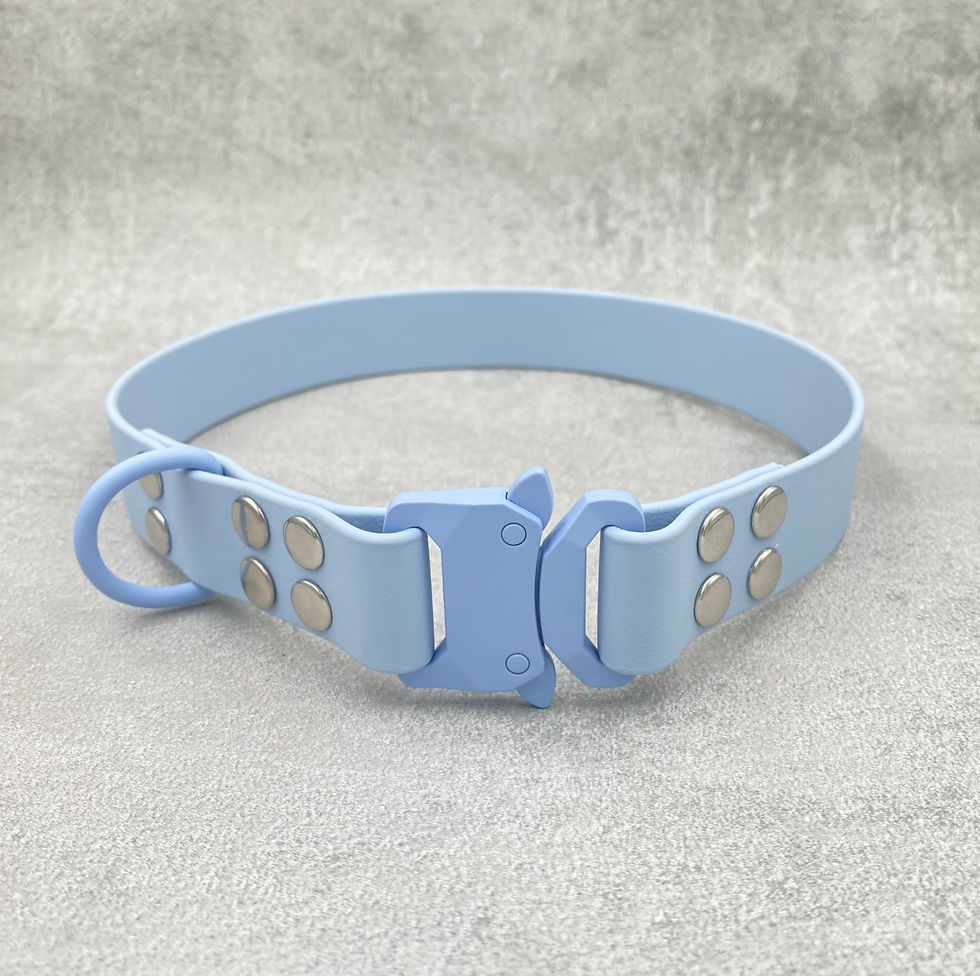Miniatyrbilde: Pawesome BioThane® Collar med Safe Lock Spenne