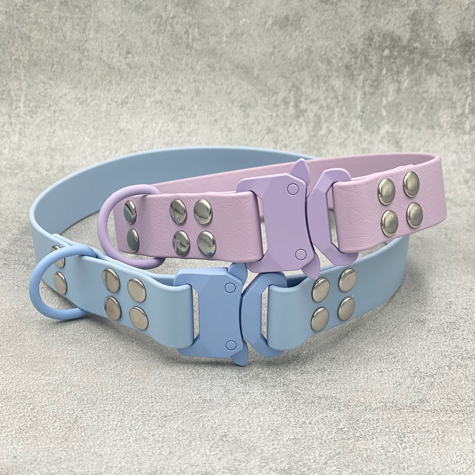 Miniatyrbilde: Pawesome BioThane® Collar med Safe Lock Spenne