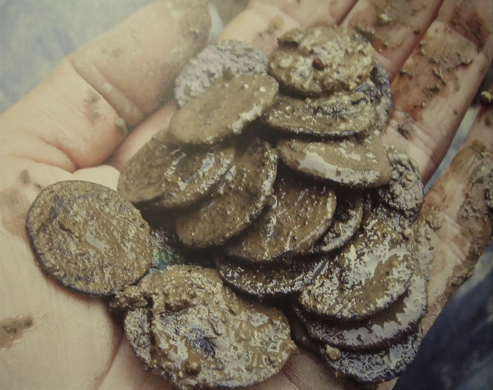 Beau Street Hoard - Roman Baths