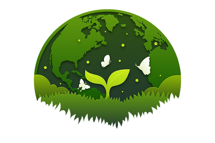 environemnt day