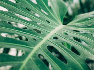 斎藤一人著「斎藤一人しあわせセラピー」抜粋