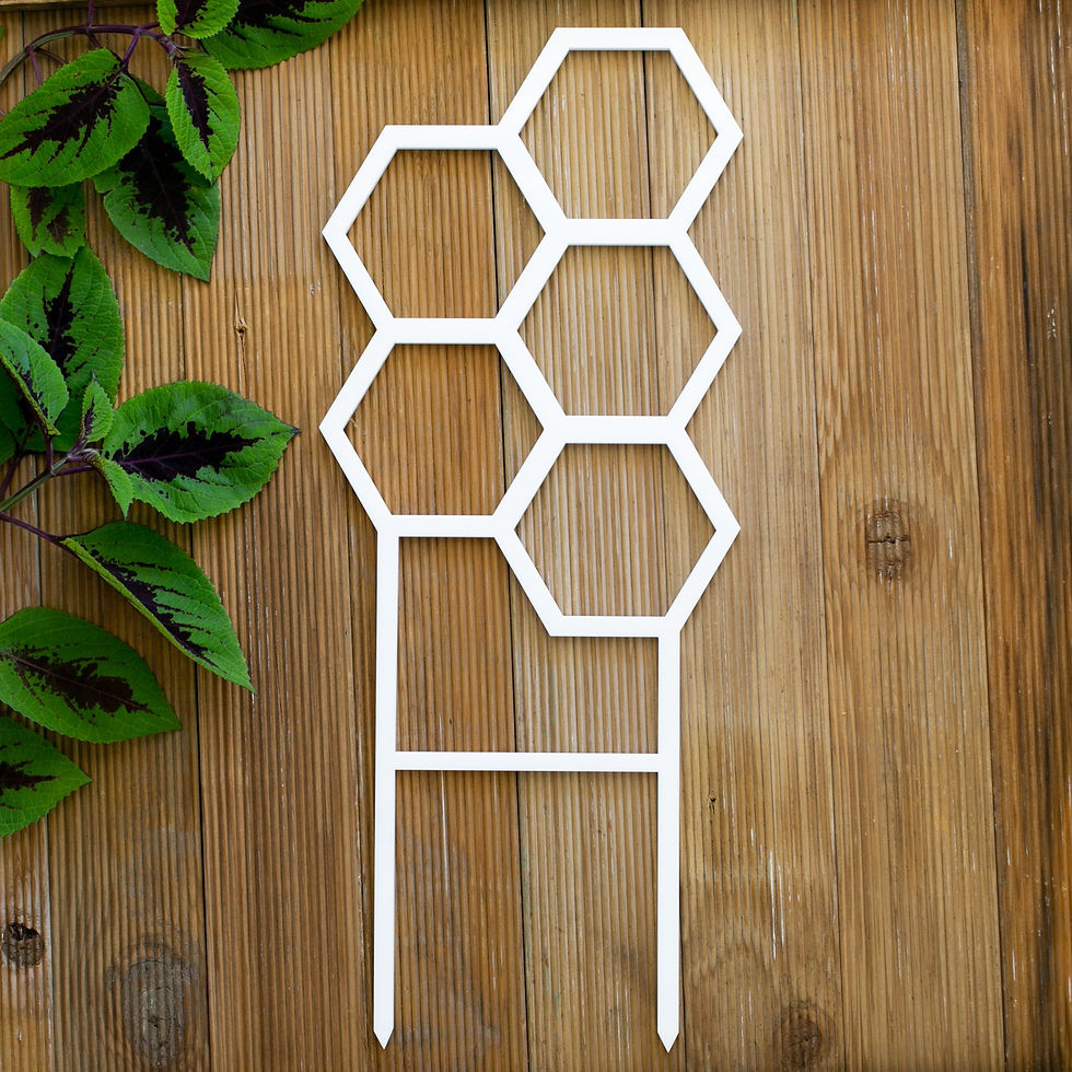 Hive Plant Climber
