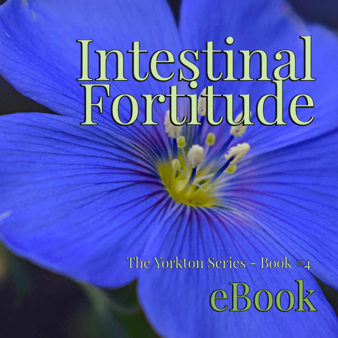 Intestinal Fortitude - The Yorkton Series - Book #4 - eBook