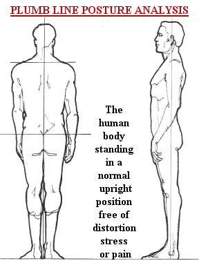 spinal touch posture.gif