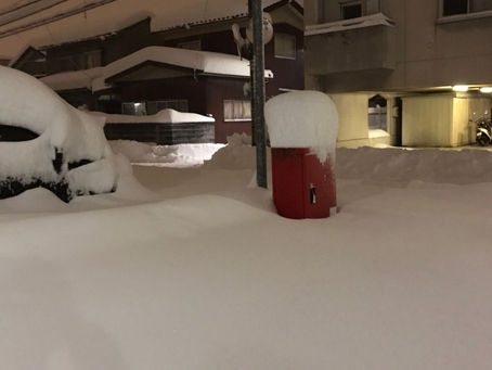 今年の雪事情