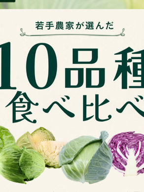 【「推しキャベ総選挙'26」開催!10品種食べ比べで、あなたの"推しキャベツ"を見つけよう】2026年8月21~23日