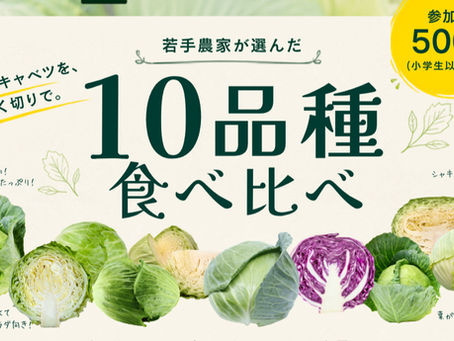 【「推しキャベ総選挙'26」開催！10品種食べ比べで、あなたの"推しキャベツ"を見つけよう】2026年8月21～23日