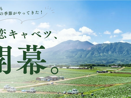 【嬬恋キャベツ、今シーズン初売り!あさまのいぶきで開幕イベント開催】2026年6月12日~14日