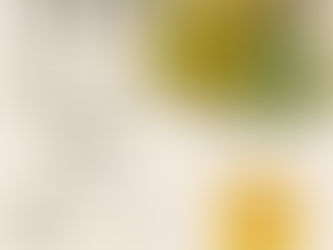 【緊急企画!「とうもろこしの日」開催!】2026年8月7日(金)