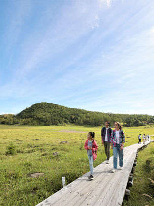 【高山植物の楽園「池の平湿原ガイドウォーク」】2026年6月30日～7月24日、8月17日～8月28日※土日除く