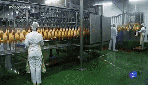 proceso linea.gif