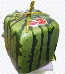 sandia.png