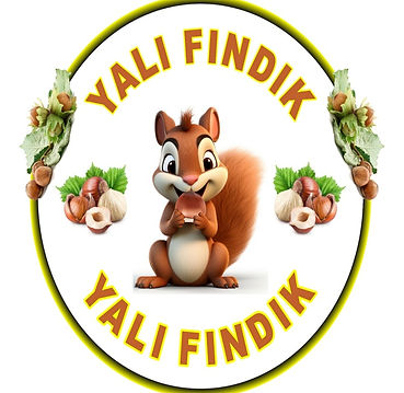 Fındıkçı Yalı Fındık Giresun Kalite Kabuklu Fındık