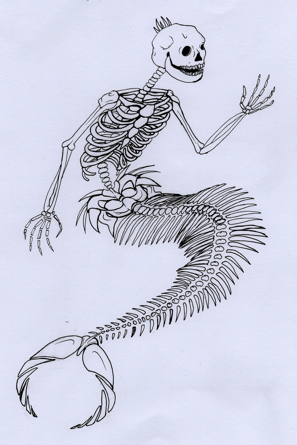 Skeleton