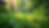Eye-level view of a lush green garden with diverse plants
