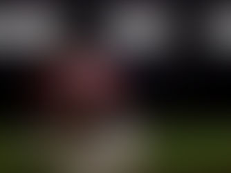 The NFL is on the Verge