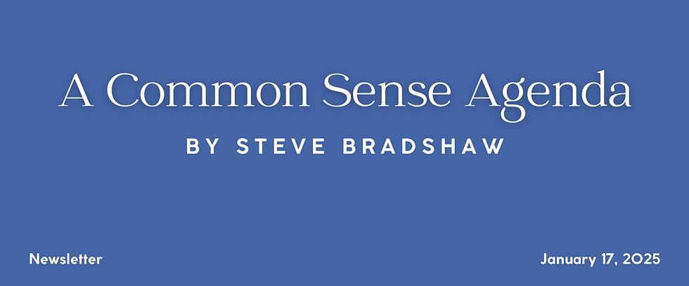 Blue background with text: "A Common Sense Agenda by Steve Bradshaw." "Newsletter" in bottom left, "January 17, 2025" in bottom right.