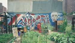 Harlemworld1 Community Garden Memorial