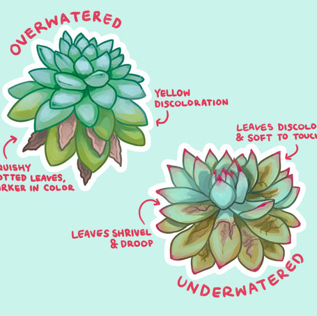 under vs overwater.jpg