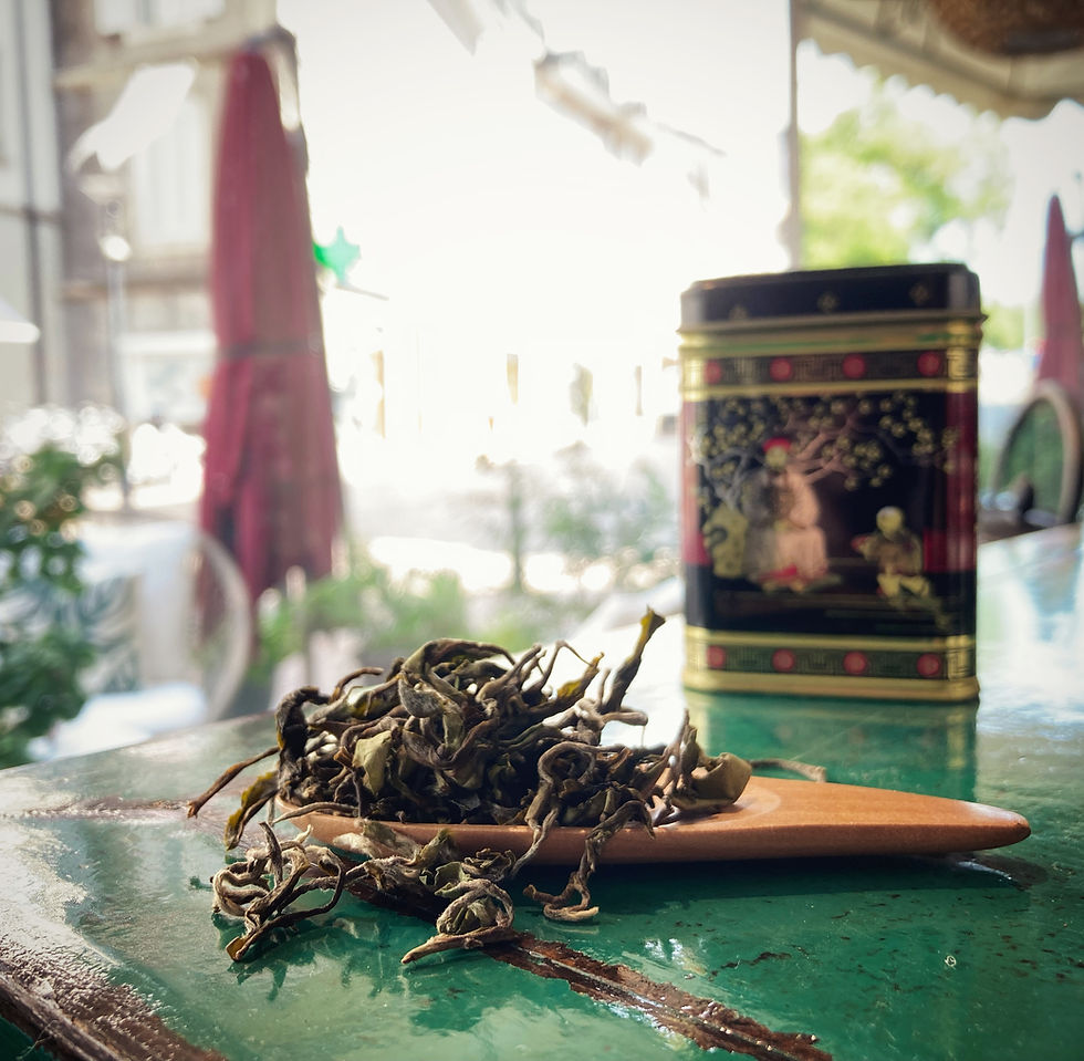 darjeeling thé morges népal récolte printemps 2022 thé japonais thé vert thé noir thé blanc