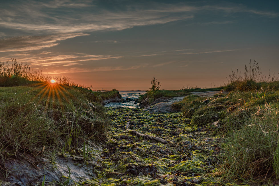 Sonnenuntergang im Wattenmeer