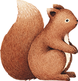 Drawing of Squirrel