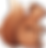 リスの描画